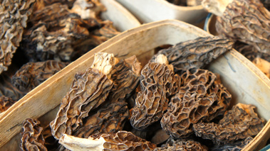 Morilles sechées