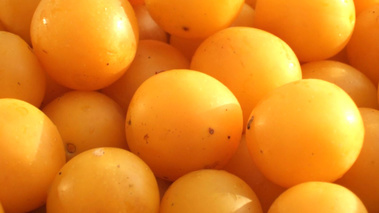 Mirabelles