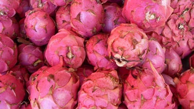 Pitaya