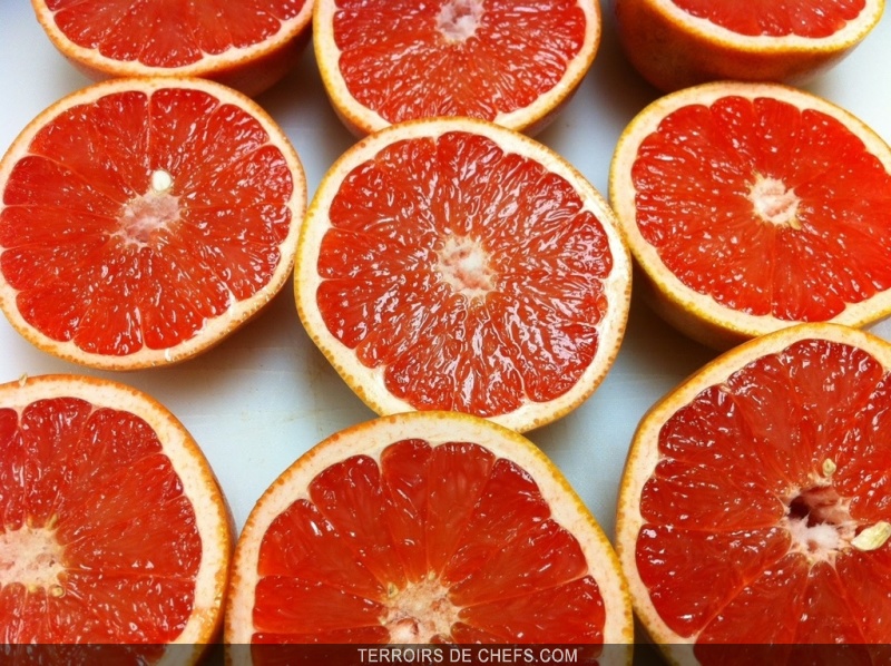 Le Pomelo Rond et dodu, c’est notre réserve de vitamines pour l’hiver.