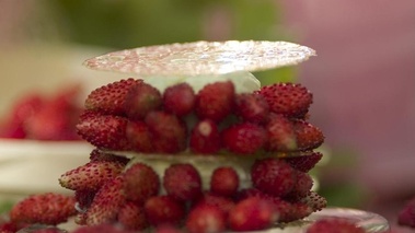 Fraises des bois en mille feuille de cristalline 