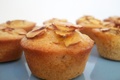 Financier de Sully sur Loire