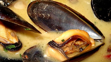 Moules sauce poulette