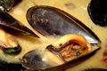 Moules sauce poulette