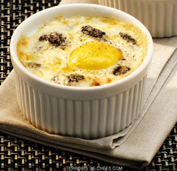 Oeuf cocotte aux morilles / Entrées chaudes / Recettes / Galeries