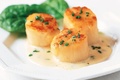 Coquilles Saint-Jacques au cidre