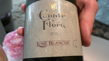 le conte de Floris