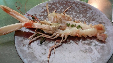 Langoustine