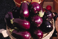 L'Aubergine