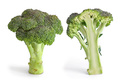 Le Brocoli