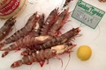 Les Gambas