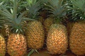 L'Ananas