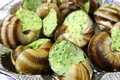 L'Escargot